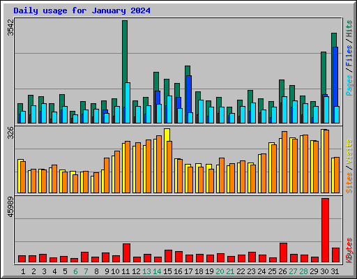 Daily usage for January 2024