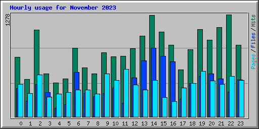 Hourly usage for November 2023