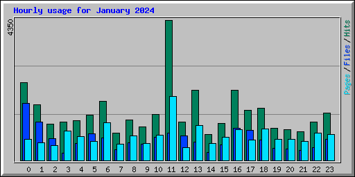 Hourly usage for January 2024