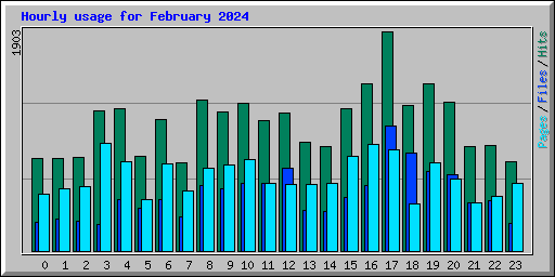 Hourly usage for February 2024